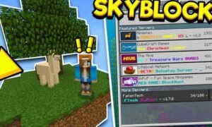 Minecraft Skyblock Servers: Take a look at These Victory Tips for These Servers.