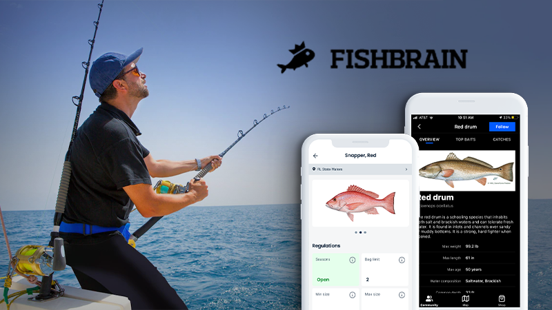 Fishbrain, A Stockholm-Based Fishing App With 12M Users, Raises $31M From Consensus, Adrigo Asset, and Softbank (FinSMEs)