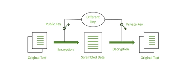 Encryption Techniques